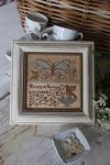 (image for) Garden Club 5 - Butterfly Garden